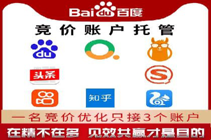 解析sem代运营公司经典案例：如何实现ROI最大化